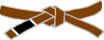 BJJ MMA Kickboxing Brown Belt