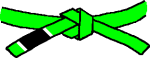 BJJ MMA Kickboxing Green Belt