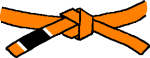 BJJ MMA Kickboxing Orange Belt