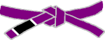 BJJ MMA Kickboxing Purple Belt