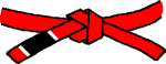 BJJ MMA Kickboxing Red Belt