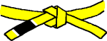 BJJ MMA Kickboxing Yellow Belt